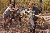 Prince Harry Appointed President of African Parks | African Parks