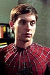 Tobey Maguire as Spider-Man Spiderman 2002, Spiderman Sam Raimi, Parker ...