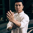 Donnie Yen Net Worth|Wiki,bio,earnings,Career,Movies,MartialArts,Age ...