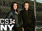 Watch CSI: NY Season 9 Episode 10: The Real McCoy | TV Guide