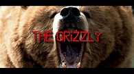 The Grizzly 2017 Trailer - YouTube