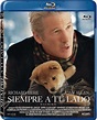 Siempre a tu Lado (2009) DVDRip Latino 1 link MEGA