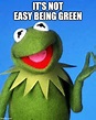 Kermit the Frog Meme - Imgflip