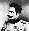 Muhamed Mehmedbašić | Wiki & Bio | Everipedia