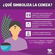 ¿Que simboliza la ceniza? - ColorMag