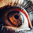 Close up shot of a human eye. : r/BeAmazed