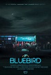 Pôster do filme Bluebird - Foto 1 de 1 - AdoroCinema