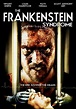 8238. The Frankenstein Syndrome (2010) | Alex's 10-Word Movie Reviews