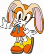 Image - Cream The Rabbit 3.png | Sonic News Network | FANDOM powered by ...