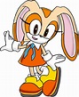 Image - Cream The Rabbit 3.png | Sonic News Network | FANDOM powered by ...