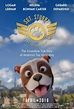 Sgt. Stubby: An American Hero (2018) - IMDb