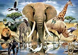 Diamond Painting Bild - Die Tiere Afrikas - carat.art