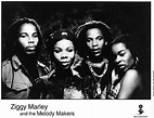 Ziggy Marley & the Melody Makers Vintage Concert Photo Promo Print at ...