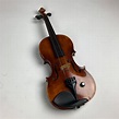 Barcus-Berry Violin owned by Ted Ansani of Material Issue | Reverb