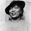 Zora Neale Hurston Festival of the Arts and Humanities Launches Hybrid ...