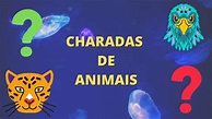 Charadas de Animais - YouTube