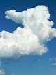 Free Images : cloud, sky, white, daytime, cumulus, blue, clouds form ...