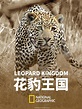 Leopard Kingdom (película 2019) - Tráiler. resumen, reparto y dónde ver ...