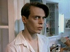 Steve Buscemi Steve Buscemi Young, Steve Buscemi Meme, Hot Actors ...