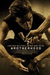 Brotherhood - Film (2010) - MYmovies.it