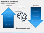 Bottom-Up Processing PowerPoint and Google Slides Template - PPT Slides
