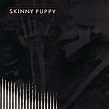 Remission | Álbum de Skinny Puppy - LETRAS.MUS.BR