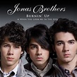 Jonas Brothers-When You Look Me In The Eyes ~ Music In Me