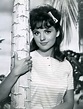 Dawn Wells - Wikipedia | RallyPoint