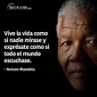 130 Frases de Nelson Mandela para conseguir la paz [Con Imágenes]
