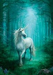 Forest Unicorn, Unicorn painting by Anne Stokes. | Mythical creatures ...
