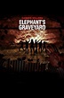 Zombie Killers: Elephant's Graveyard (film, 2015) | Kritikák, videók ...