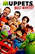 Muppets Most Wanted Dvd - DVD Store