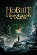 El hobbit: La desolación de Smaug (2013) - Pósteres — The Movie ...
