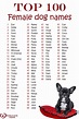 100 Female Dog Names - World Dog Finder