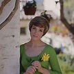Julie Andrews had the highest peak of any actress in terms of their career.