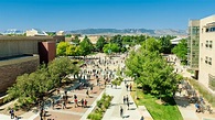 Colorado State University Top Courses and Ranking