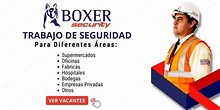 Boxer Security | Oportunidad De Trabajo De Seguridad