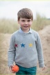 Prince Louis Looks So Cute in His 4th Birthday Portraits!: Photo ...