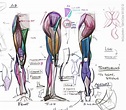 AnatomyTools - Instructor Bio: Michael Hampton