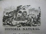 historia natural buffon tomo xi. 1792. precioso - Comprar Libros ...