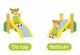 Top, Bottom And Middle Concept For Preschoolers