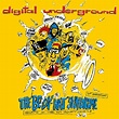Digital Underground The Body-Hat Syndrome (30th Anniversary) Vinyl LP ...