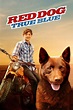 Red Dog: True Blue DVD Release Date February 6, 2018
