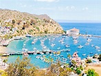 Things to See and Do on Catalina Island | JohnnyJet.com