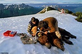 Brown Bear Tagging, Chichagof Island, Alaska – Image 2651Mark Kelley ...