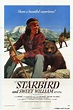 Starbird and Sweet William Movie Poster (11 x 17) in 2021 | Native ...
