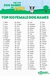 Dating the unique girl dog names - atlanticpy