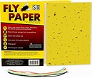 Amazon.com: fly paper