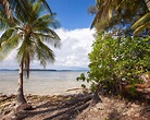 所羅門群島 10 大最佳旅遊景點 - Tripadvisor