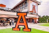 La Universidad Anáhuac México apuesta por el Alto Rendimiento Digital ...